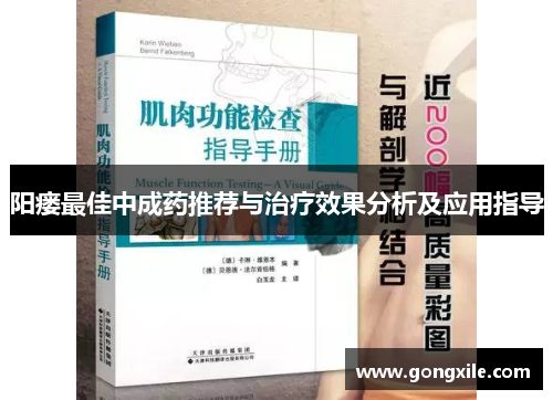 阳瘘最佳中成药推荐与治疗效果分析及应用指导