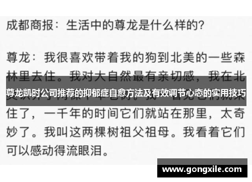 尊龙凯时公司推荐的抑郁症自愈方法及有效调节心态的实用技巧