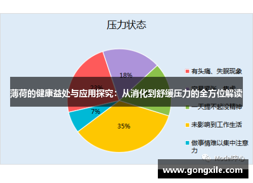 薄荷的健康益处与应用探究：从消化到舒缓压力的全方位解读